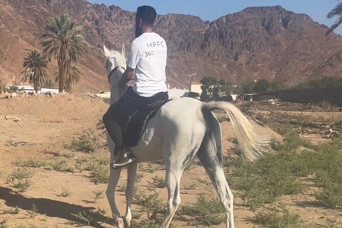 1 Hour Private Horse Riding in Madinah - Why this ride is different in Madinah