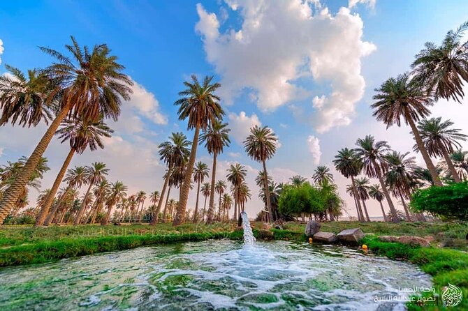 A tour in Al Ahsa the largest Oasis in the world - Key points before you book