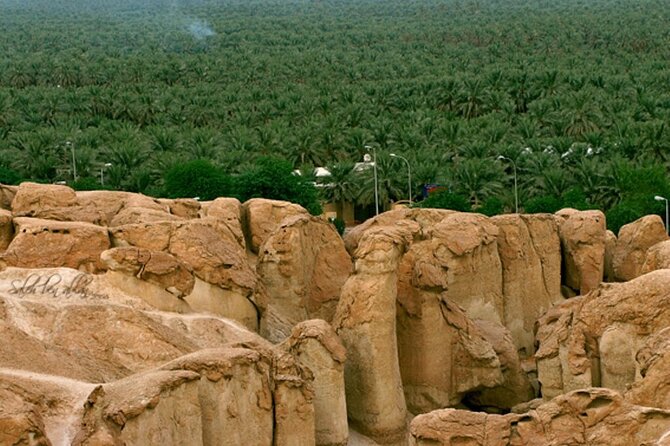 A tour in Al Ahsa the largest Oasis in the world - Why Al Ahsa is worth a full day