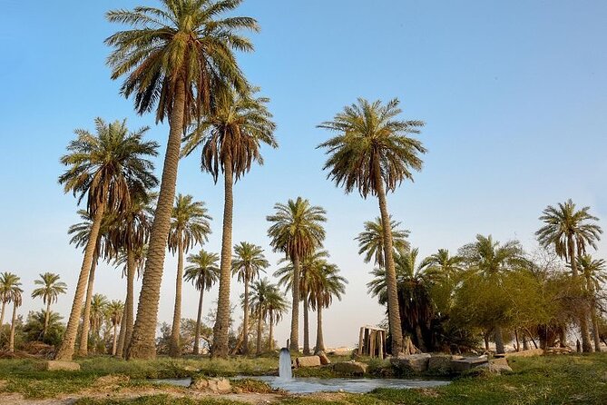 A tour in Al Ahsa the largest Oasis in the world - Is $175 a fair price?