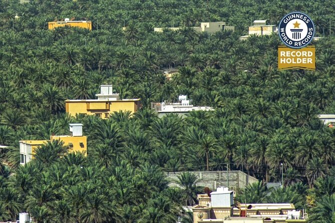A tour in Al Ahsa the largest Oasis in the world - Timing, comfort, and practical planning