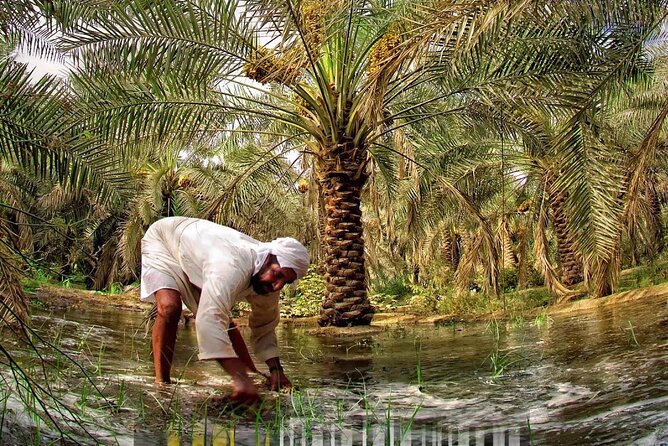 A tour in Al Ahsa the largest Oasis in the world - Qaisariah Souq and the old covered market