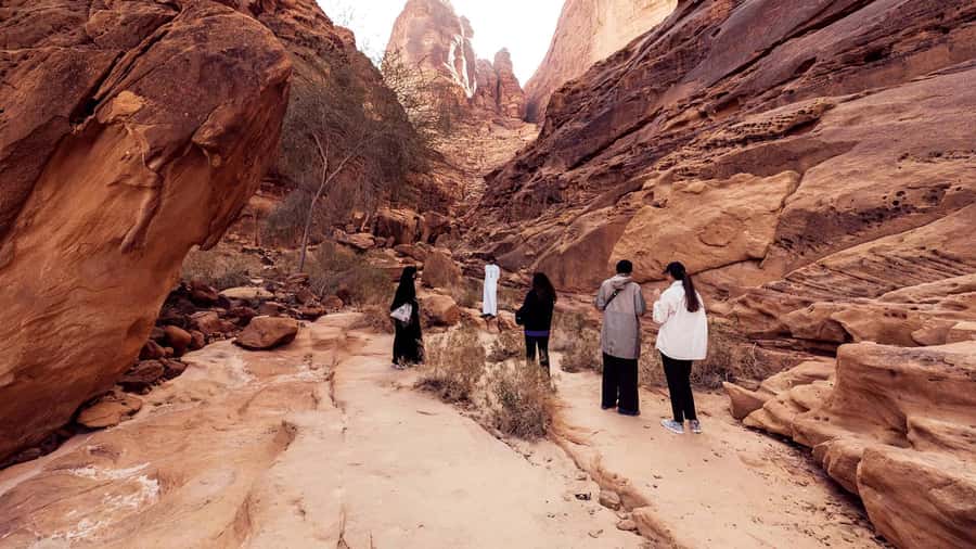 Al Ula: Dadan and Jabal Ikmah Tombs Guided Tour - Is $49 a fair price for two hours?