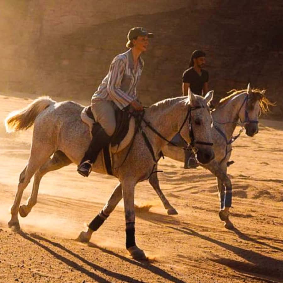 Al-Ula: Guided Horse Riding - Key points before you saddle up