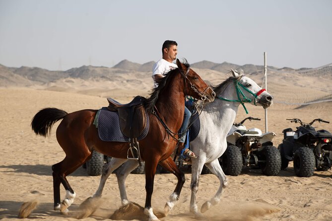 Desert Safari with Quad Bike Tours Jeddah - Timing, Weather, and Cancellation