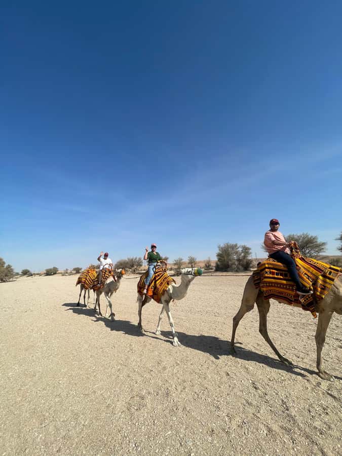 Edge of The World Riyadh,Camel Ride ,Bat Cave Visit & Dinner - The camel ride, a quick taste of desert travel