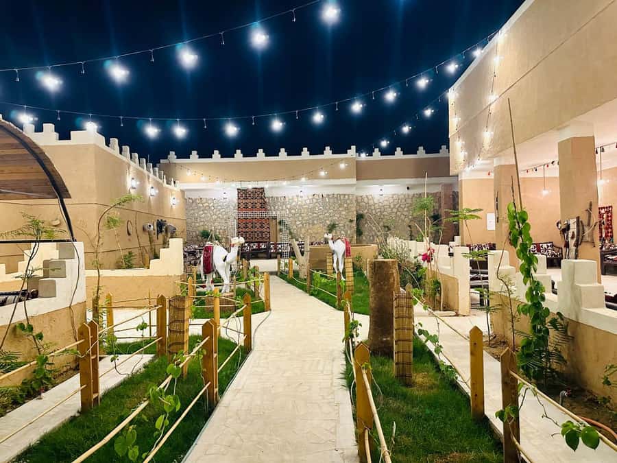 Edge of The World Riyadh,Camel Ride ,Bat Cave Visit & Dinner - Who should book this Riyadh day trip?
