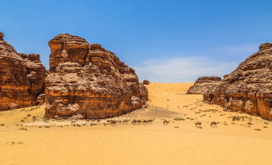 From AlUla: Hegra Tour - Why Hegra Deserves Two Hours of Your AlUla Trip
