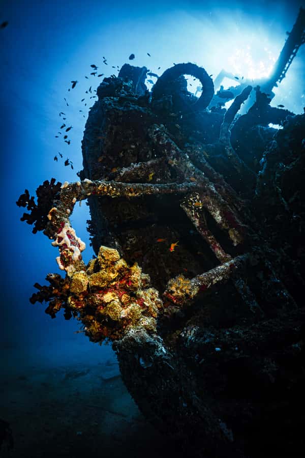 From Jeddah: Boat Trip and Diving for Certified Divers - Is $93 a Fair Price?
