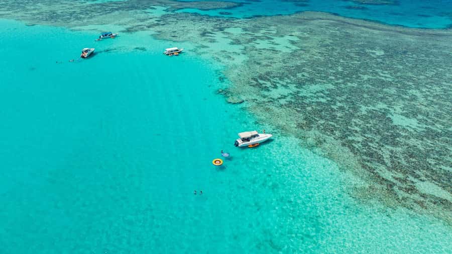From Jeddah: Private Sea Trip to Bayadah Island - A guided snorkeling session for beginners and regular swimmers