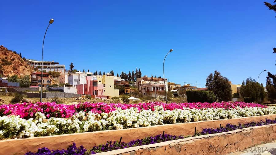 From Jeddah: Taif Day Tour - Leaving Jeddah for Taif’s mountain air