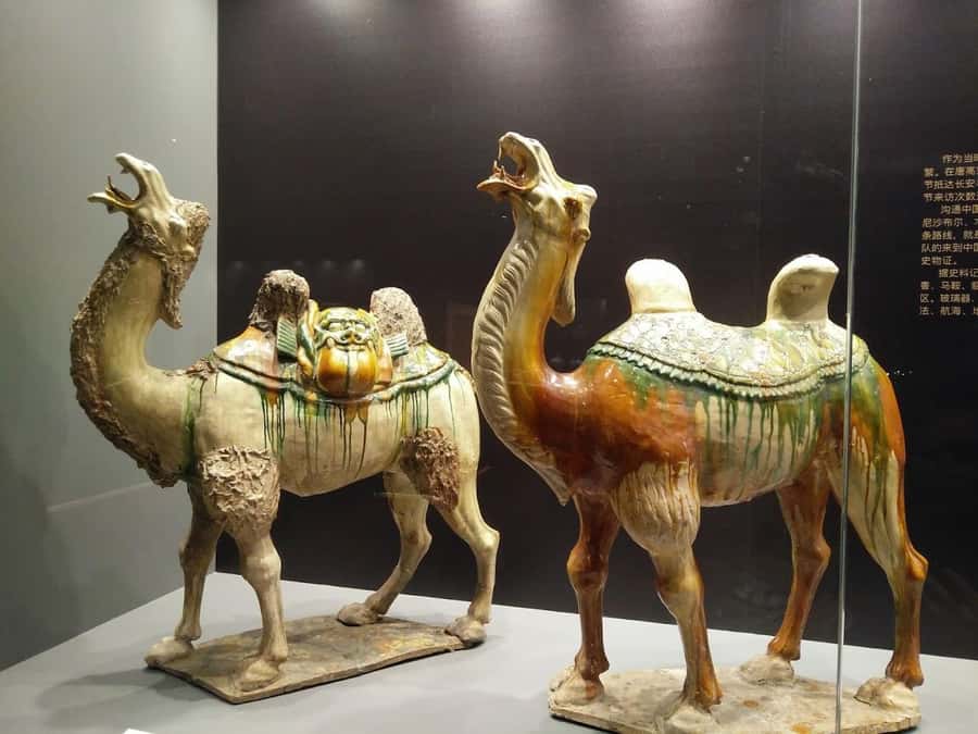 Half Day in Riyadh, Almasmak, National Museum, Kingdom Tower - Who should book this Riyadh city tour?