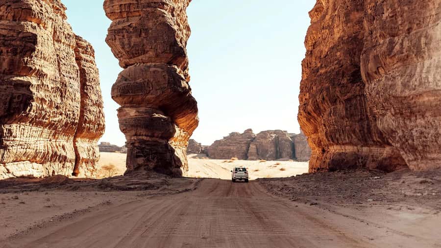 Hegra Tour: AlUla’s No.1 Haven For Nature, Wildlife Lovers - The human story written in rock