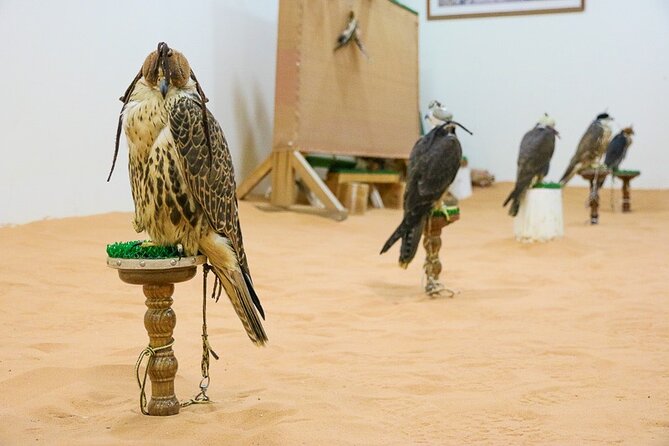 Historical Riyadh Self-Guided Audio Walking Tour - What this Riyadh audio walk actually gives you