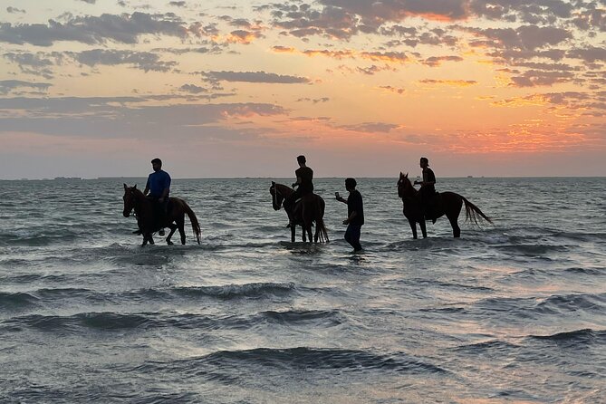 Horse Riding Experience in Riyadh | Tanomah | Jeddah | Al Ula - Choosing Between Riyadh, Jeddah, and Tanomah