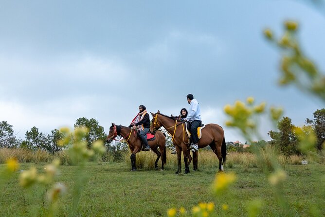 Horse Riding Experience in Riyadh | Tanomah | Jeddah | Al Ula - Jeddah: Red Sea Views With Some Practical Concerns