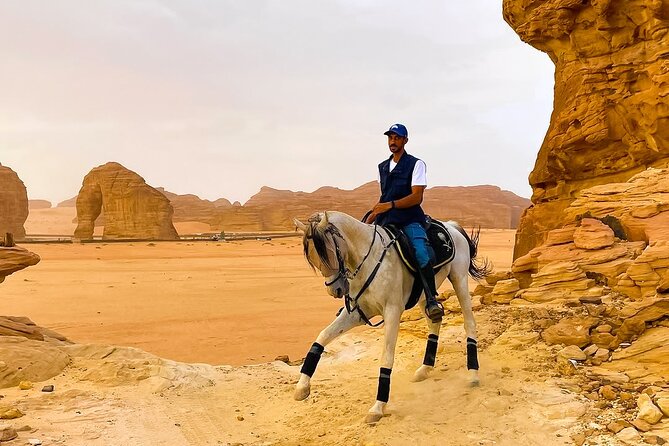 Horse Riding Experience in Riyadh | Tanomah | Jeddah | Al Ula - Is $75 a Fair Price for One Hour?
