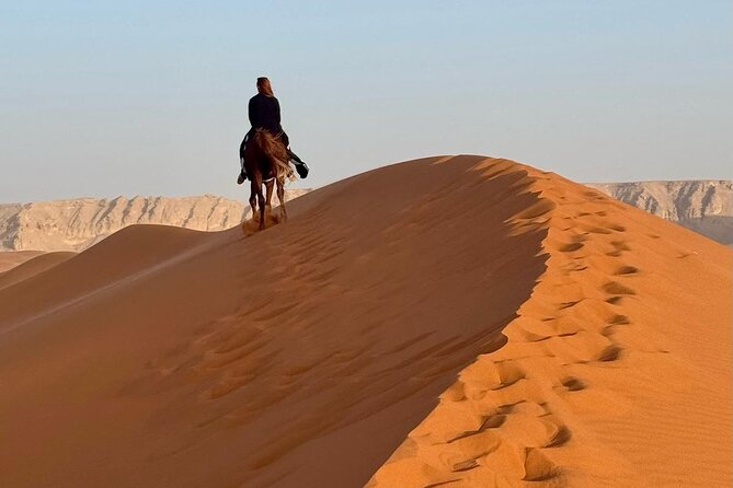 Horse Riding Experience in Riyadh | Tanomah | Jeddah | Al Ula - Riyadh: Red Sand, Dunes, and a Faster Ride