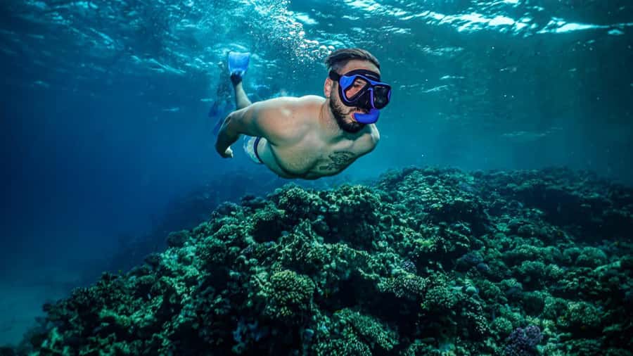 Jeddah: Guided Snorkeling Trip with Snacks and Drinks - Setting out from Jeddah’s Red Sea coast