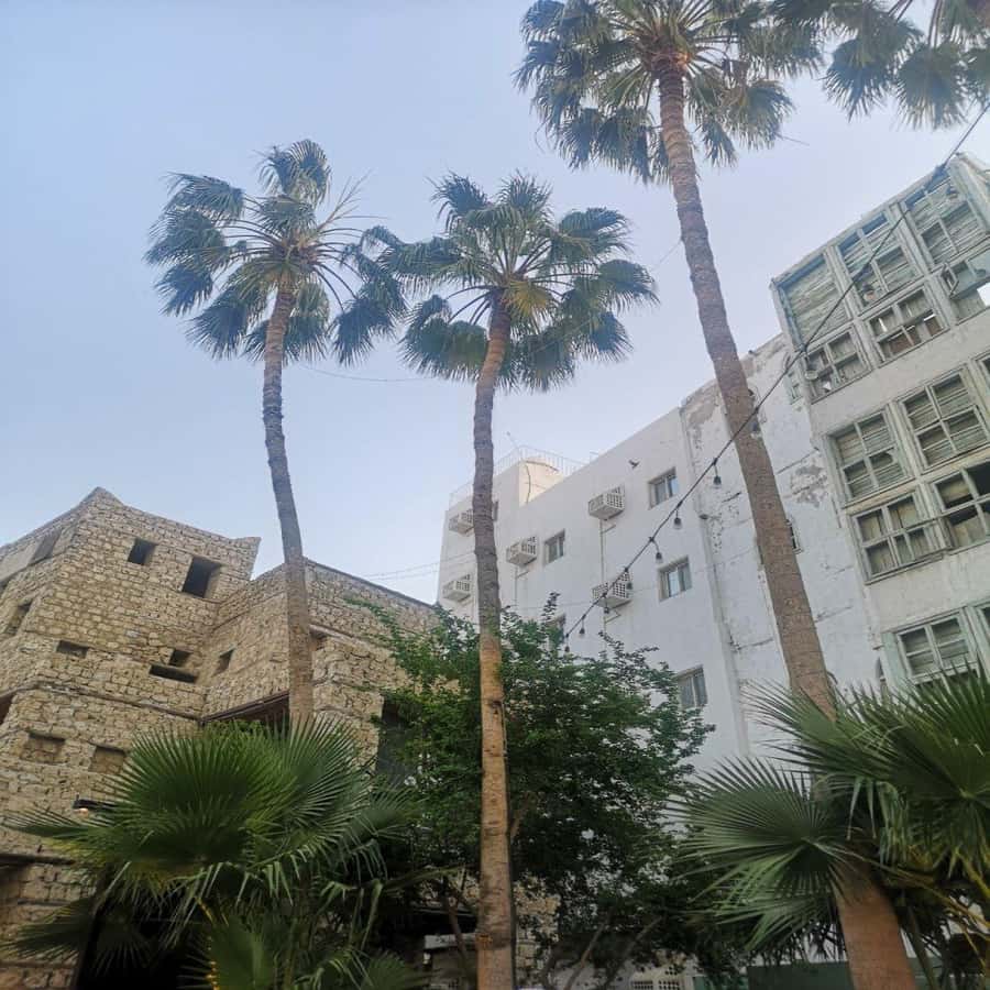 Jeddah: Historic District Tour by a Local licensed Guide - Is $139 per person fair value?