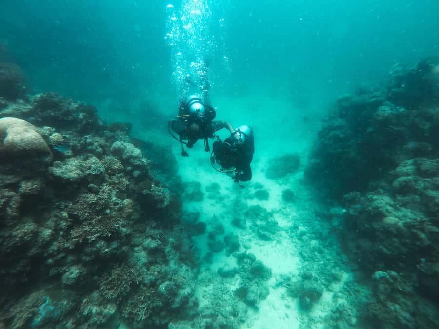 Jeddah: Red sea shore diving (Discovery) - Blue Reef and the Red Sea setting
