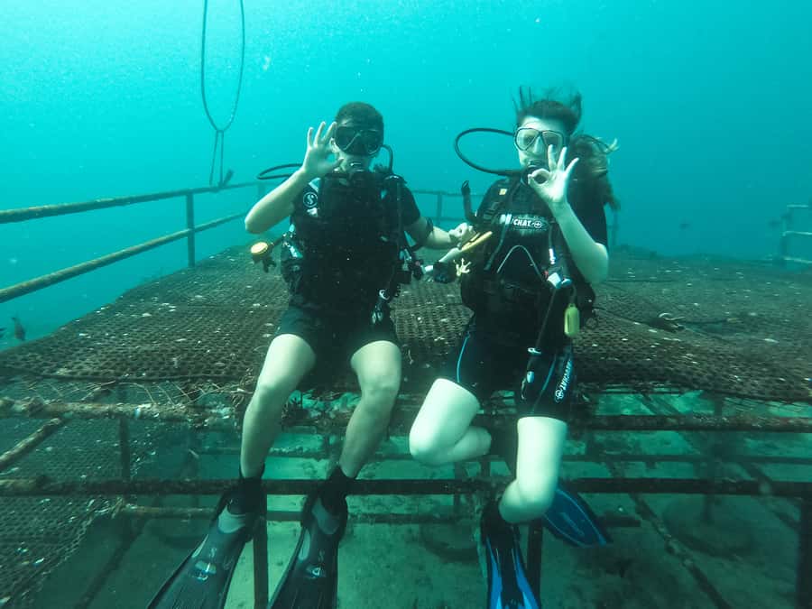 Jeddah: Red sea shore diving (Discovery) - What you may see beneath the surface