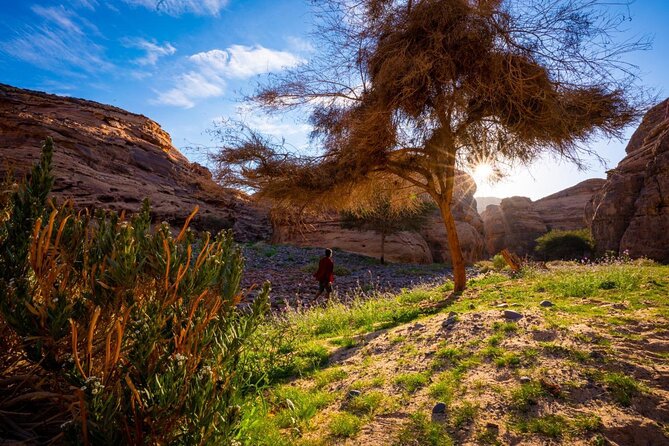 Journey Through Time Hike - Starting at AlUla Park