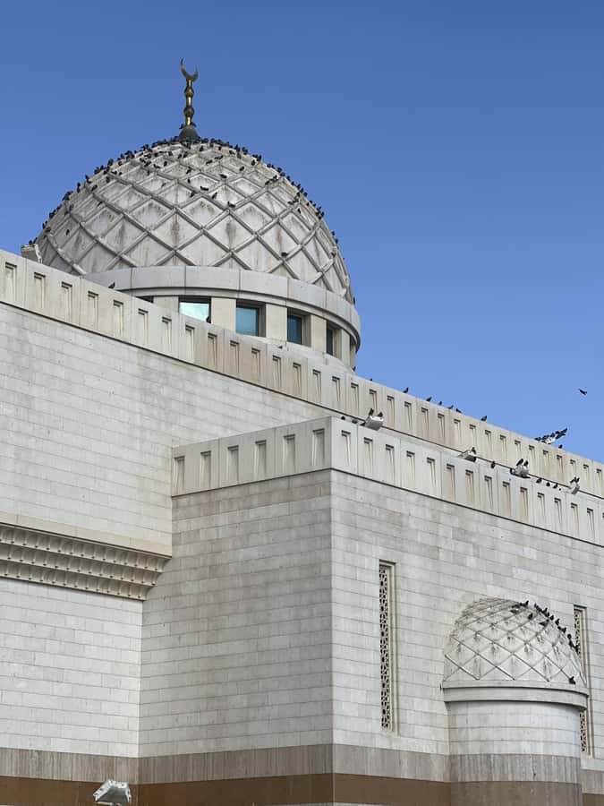 Madinah Culture & History Tour – Led by Local Guide - The farm stop: tea, dates, and local hospitality