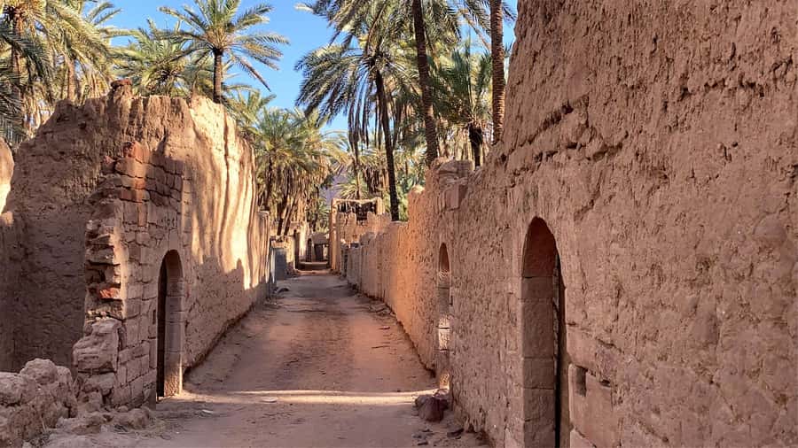 Oasis Adventure in Alula - Who will enjoy this oasis walk most?