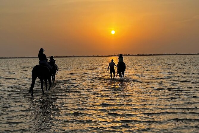 Private Horse Riding Experience at Red Sea - Key Points Before You Book