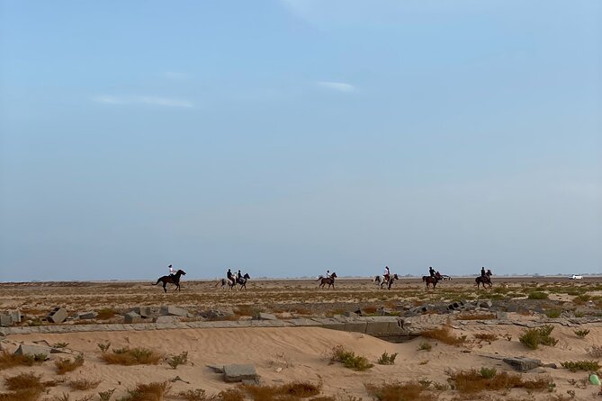 Private Horse Riding Experience at Red Sea - Meeting the Horses and Learning the Basics