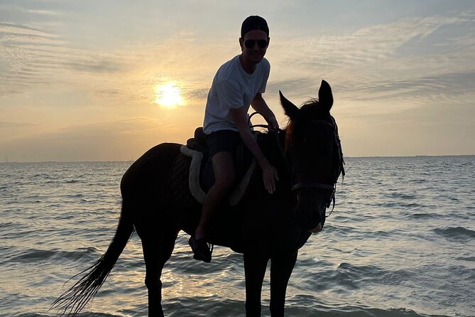 Private Horse Riding Experience at Red Sea - The Red Sea at Sunset