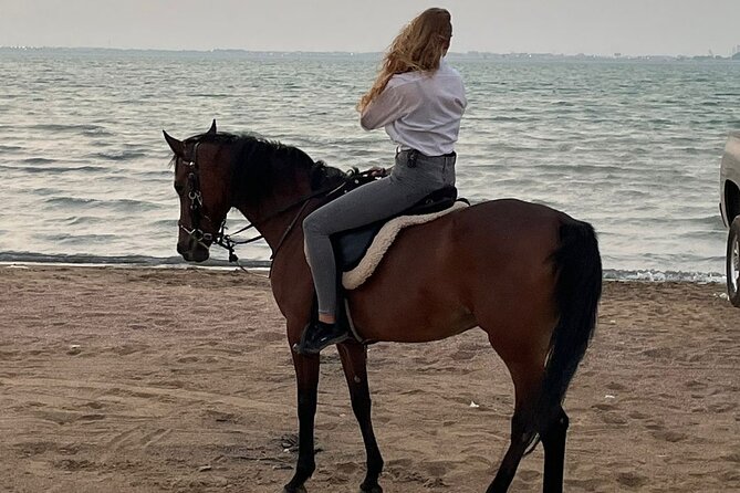Private Horse Riding Experience at Red Sea - What Makes the Local Team Helpful