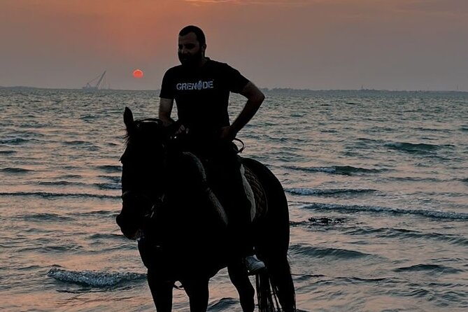 Private Horse Riding Experience at Red Sea - Who Will Enjoy This Most?