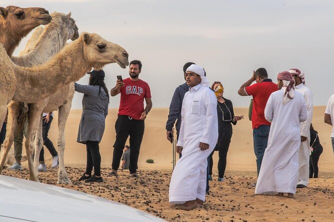 Private Morning Desert Safari with Quad Bike Tours Jeddah - The camel-farm stop and a glimpse of desert life