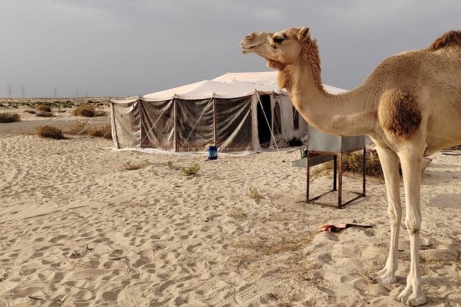 Private Tour to the Yellow Lake and Sand Dunes - What the $119 price buys you