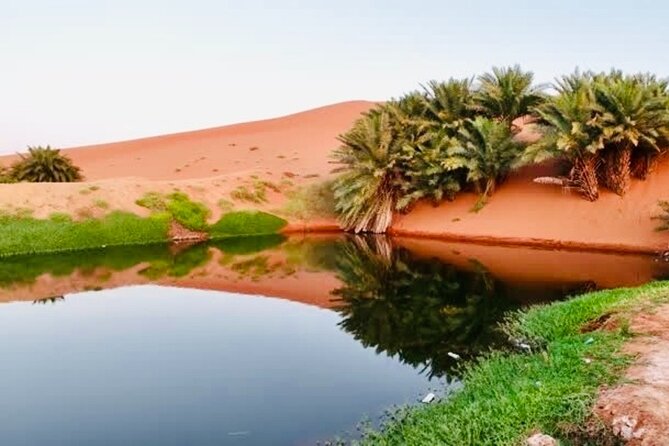 Riyadh City Tour with Camel Riding - Sadus and the short camel ride