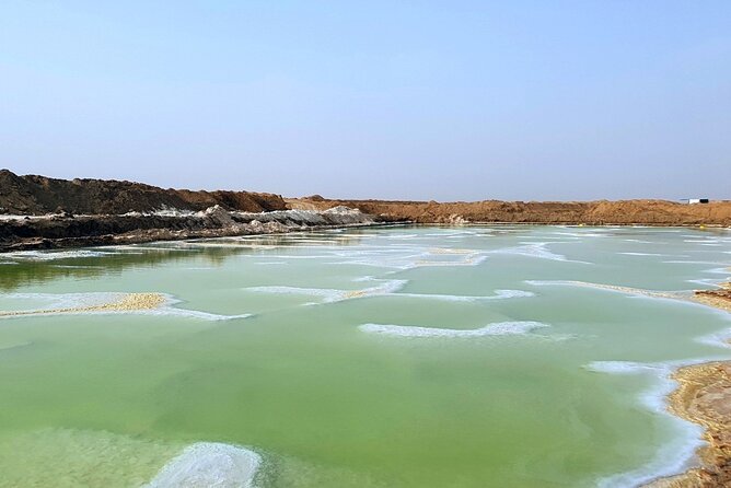Riyadh City Tour with Camel Riding - Shaqra Heritage Museum and everyday Saudi life