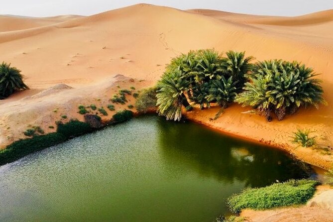 Riyadh City Tour with Camel Riding - Oasis Lake, the quiet middle of the day