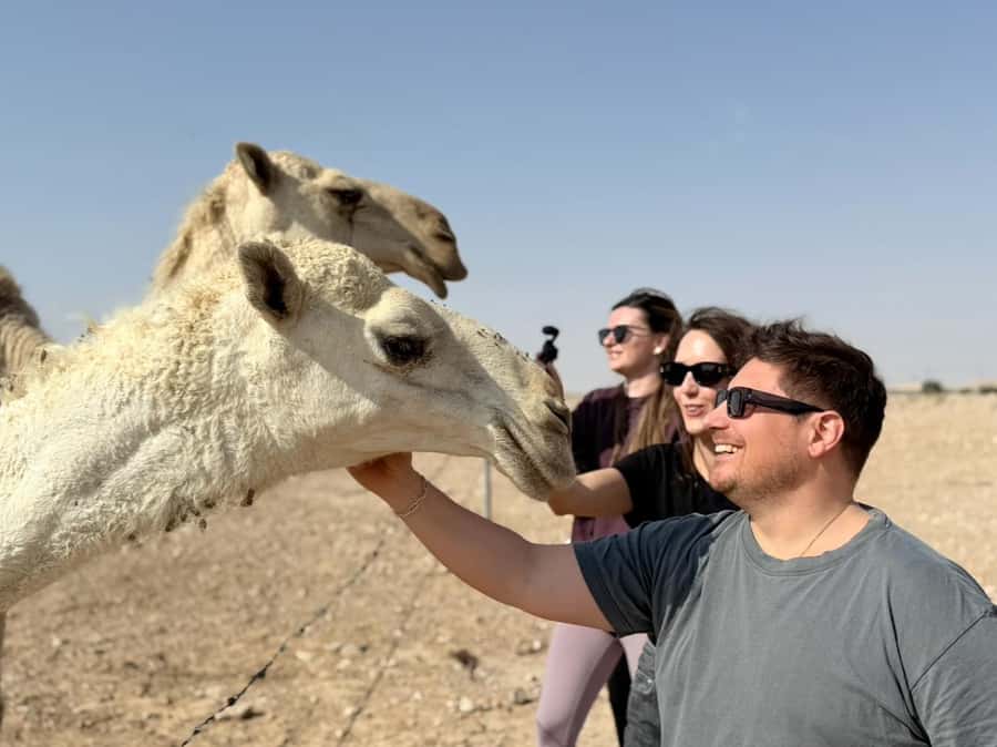 Riyadh: Edge Of The World, camels &Stargazing with 4x4 - Dinner and stargazing close the day
