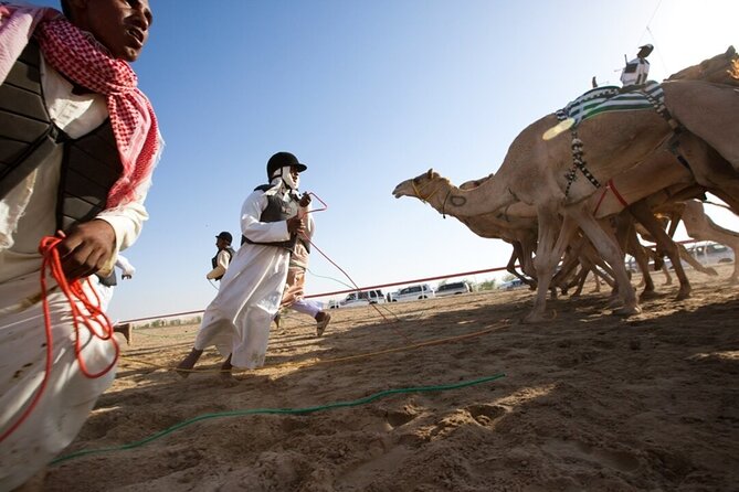 Riyadh Red Sand Dunes 4x4 (Camel Ride, Quad biking, Old Palace) - The camel ride after the adrenaline
