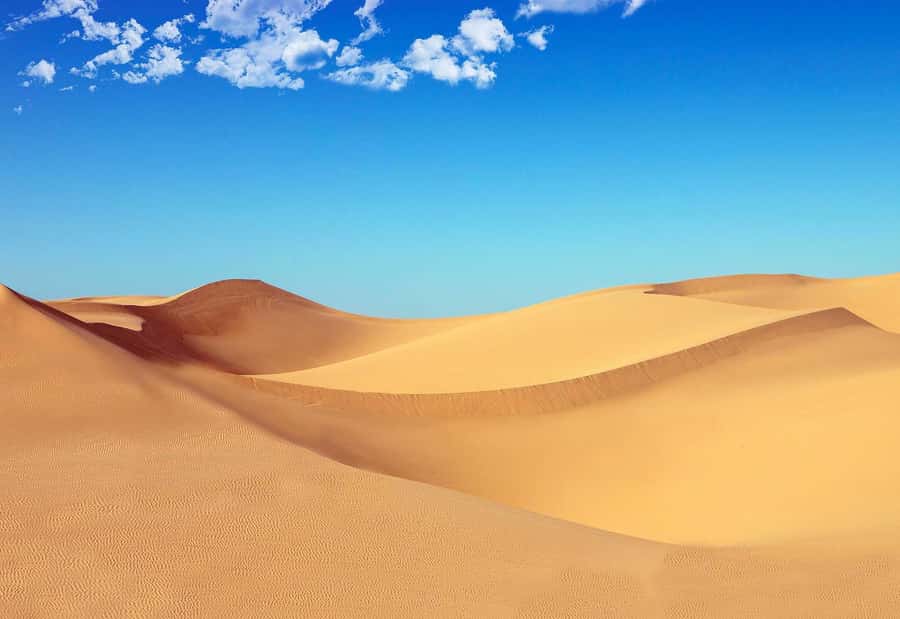 Riyadh: Sand Dunes Desert Safari, Quad Bike, Camel Ride - Red Sand and Riyadh’s Hidden Valley