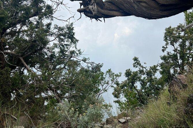 Sawda Mountains Hiking Trail - Monkeys, safety, and trail manners