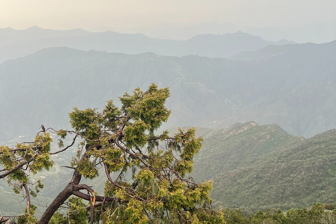 Sawda Mountains Hiking Trail - Is $99 a fair price?