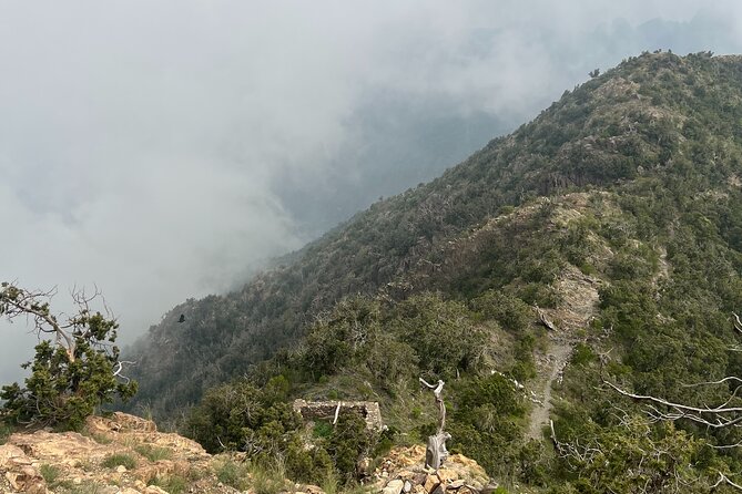 Sawda Mountains Hiking Trail - Juniper trees and the greener side of Saudi Arabia