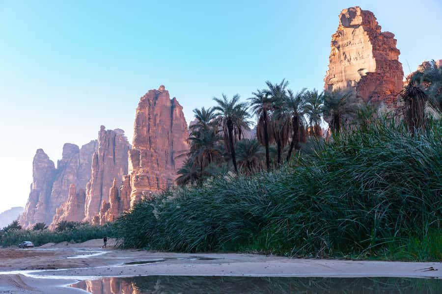 Wadi Al Disah Tour - Walking Beneath the Sandstone Pillars