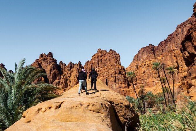 Wadi Disah Adventure from Tabuk | Al Ula - What the Arabic-only guide means for your day