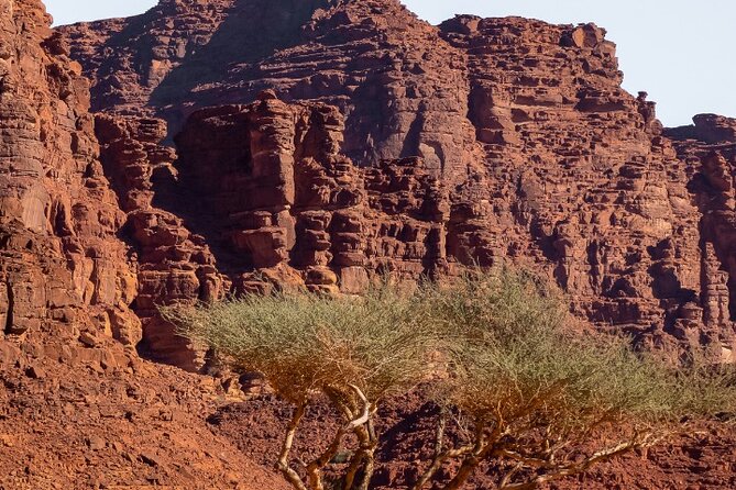 Wadi Disah Adventure from Tabuk | Al Ula - How the $400 price measures up